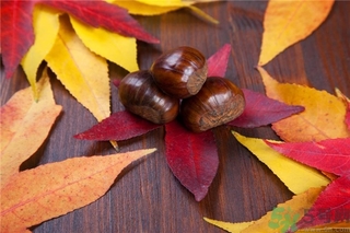 板栗和牛奶可以一起吃嗎？板栗和酸奶能一起吃嗎？