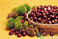 秋天吃板栗好嗎？秋天吃板栗有什么好處？