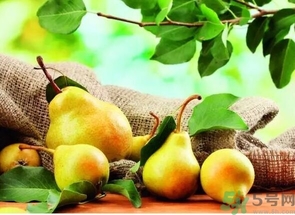 晚上吃梨會(huì)胖嗎？晚上吃梨好嗎？