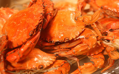 醉蟹腌制一天能吃嗎 醉蟹吃了會拉肚子嗎