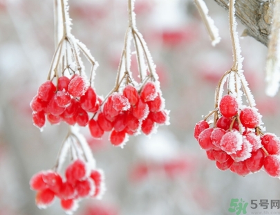 霜降是幾月幾日？霜降是什么意思？