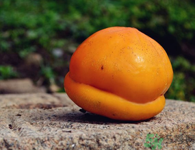 柿子可以和香蕉一起吃嗎？香蕉和柿子能一起吃嗎？