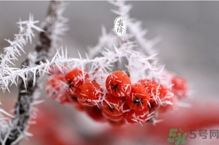 霜降出生的孩子好嗎？霜降出生的寶寶怎么取名？