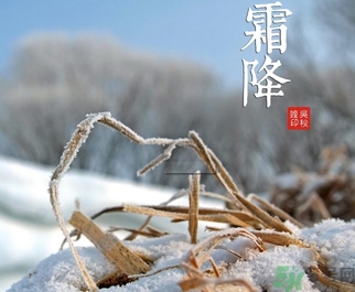 霜降出生的孩子好嗎？霜降出生的寶寶怎么取名？