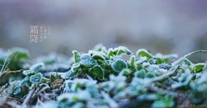 霜降出生的孩子好嗎？霜降出生的寶寶怎么取名？