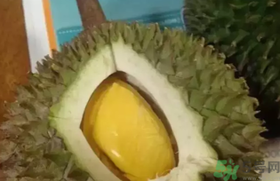 榴蓮吃多了會(huì)怎么樣？榴蓮吃多了好嗎？