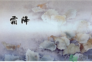 霜降為什么要吃柿子？霜降吃柿子有什么好處？