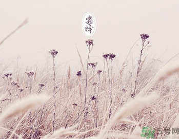 霜降為什么要吃柿子？霜降吃柿子有什么好處？