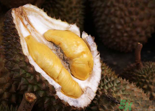 榴蓮一次吃多少合適？榴蓮一天最多吃多少？