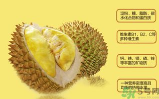 榴蓮不能和什么一起吃？吃榴蓮后不能吃什么？