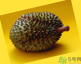 榴蓮可以冷凍保存嗎？榴蓮放冰箱是冷藏還是冷凍？