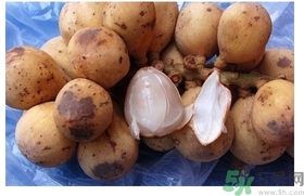 椰色果的功效作用 椰色果怎么吃？