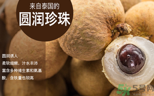 泰國龍眼和普通龍眼什么區(qū)別？泰國龍眼和普通龍眼哪個好？