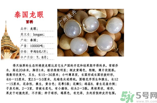 泰國(guó)龍眼什么時(shí)候上市？泰國(guó)龍眼多少錢一斤？