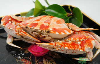 海蟹可以冷凍保存嗎？海蟹冷凍能保存多久？