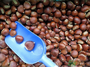 吃板栗肚子脹氣怎么辦？吃板栗對(duì)胃好嗎？