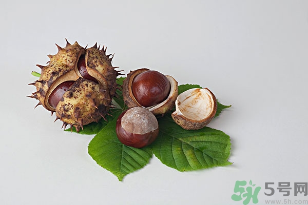 吃板栗肚子脹氣怎么辦？吃板栗對(duì)胃好嗎？