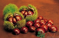 板栗和海鮮能一起吃嗎？板栗和海鮮能同食嗎？