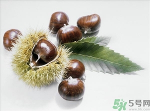 老人能喝板栗酒嗎？板栗怎么泡酒呢？