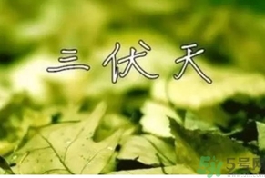 三伏天可以理發(fā)嗎？三伏天為什么不能理發(fā)？
