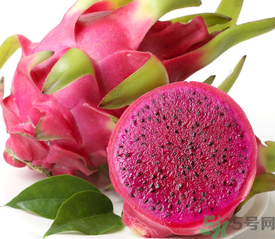 紅心火龍果是轉(zhuǎn)基因嗎？紅心火龍果是不是轉(zhuǎn)基因？