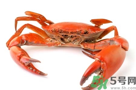 懷孕可以吃螃蟹嗎？懷孕吃了螃蟹怎么辦？