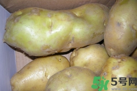 土豆發(fā)綠還能吃嗎？土豆發(fā)綠皮削皮后能吃嗎？
