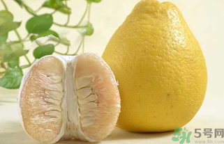 柚子為什么是苦的？柚子為什么會苦？