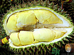 月經(jīng)期間可以吃榴蓮嗎？來月經(jīng)可以吃榴蓮嗎？