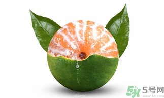 孕婦可以吃青桔子嗎？青桔子孕婦可以吃嗎？