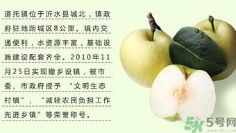 牛心果怎么吃？牛心果的功效和作用