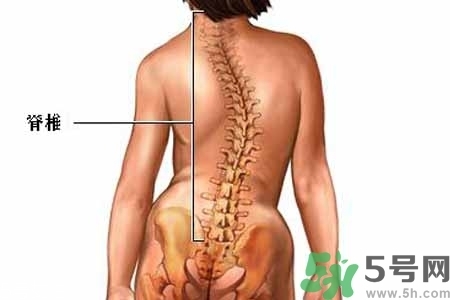 僵直性脊椎炎的癥狀有哪些？怎樣預(yù)防僵直性脊椎炎？