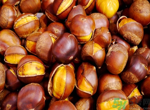 熟板栗可以放多久？熟板栗怎么保存不會壞？