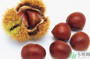 熟板栗可以放多久？熟板栗怎么保存不會壞？