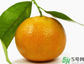 桔子怎么保鮮？桔子可以放冰箱保鮮嗎？