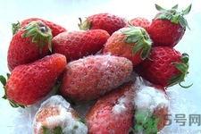 水果發(fā)霉了可以吃嗎？發(fā)霉的水果對(duì)人體有什么危害？