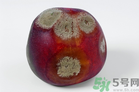 水果發(fā)霉了可以吃嗎？發(fā)霉的水果對(duì)人體有什么危害？