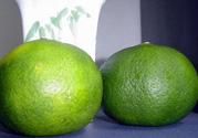 孕婦可以吃青桔子嗎？青桔子孕婦可以吃嗎？
