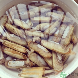 蟶子可以吃哪些部位？蟶子哪些部位不能吃？