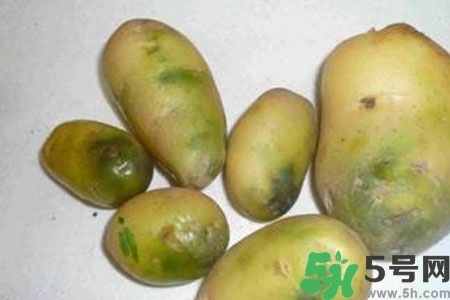 土豆發(fā)綠還能吃嗎？土豆發(fā)綠皮削皮后能吃嗎？