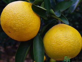 吃桔子有什么好處和壞處？桔子吃了有什么好處？