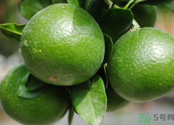 孕婦可以吃桔子嗎？孕婦能吃桔子嗎？