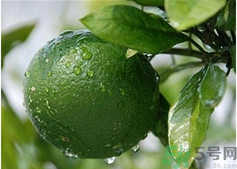 孕婦吃桔子好嗎？孕婦吃桔子有什么好處？