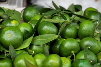 青桔子可以吃嗎？吃青桔子有好處嗎？