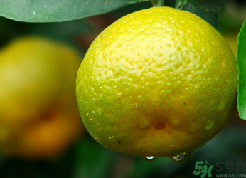 青桔子可以吃嗎？吃青桔子有好處嗎？