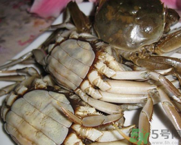 河蟹可以冷凍嗎？活河蟹可以冷凍保存嗎？