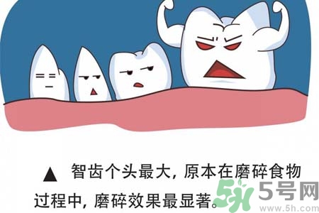 智齒拔完后有個(gè)洞怎么辦？拔智齒后有個(gè)洞多久能長(zhǎng)好？
