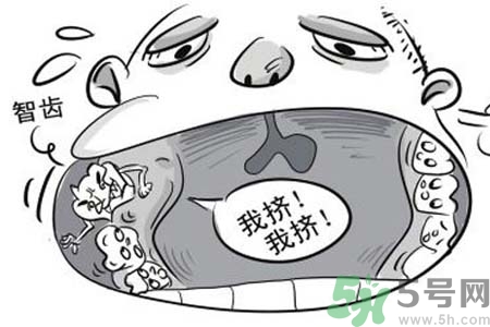 智齒拔完后有個(gè)洞怎么辦？拔智齒后有個(gè)洞多久能長(zhǎng)好？