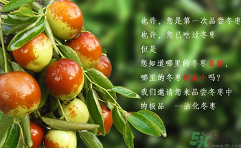 晚上吃棗子會(huì)胖嗎？晚上吃新鮮棗子會(huì)胖嗎？