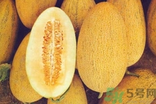 便秘可以吃哈密瓜嗎？哈密瓜可以治療便秘嗎？